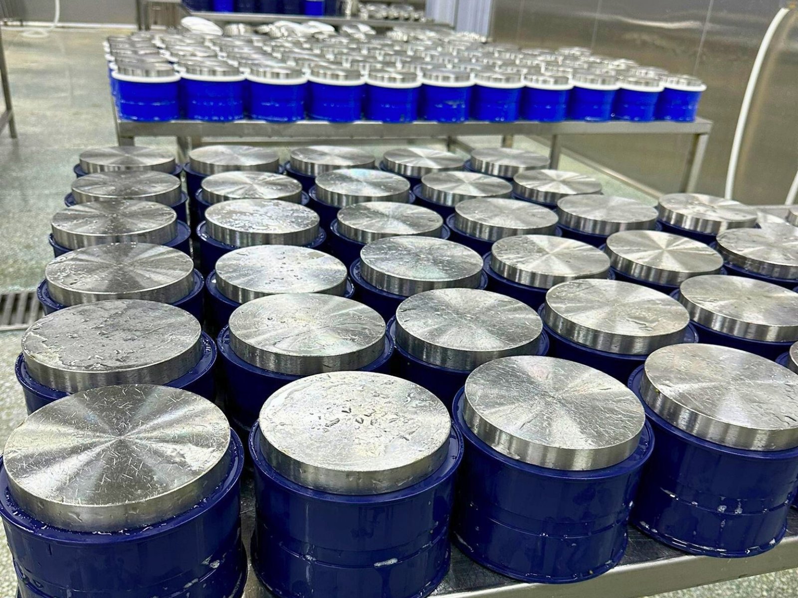 Caviar cold-chain facility London — SALSA certified storage for wholesale caviar supply