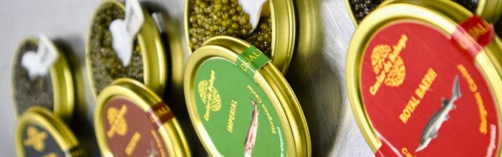 Royal Beluga caviar tin — luxury sturgeon caviar from Caviar de Beluga London