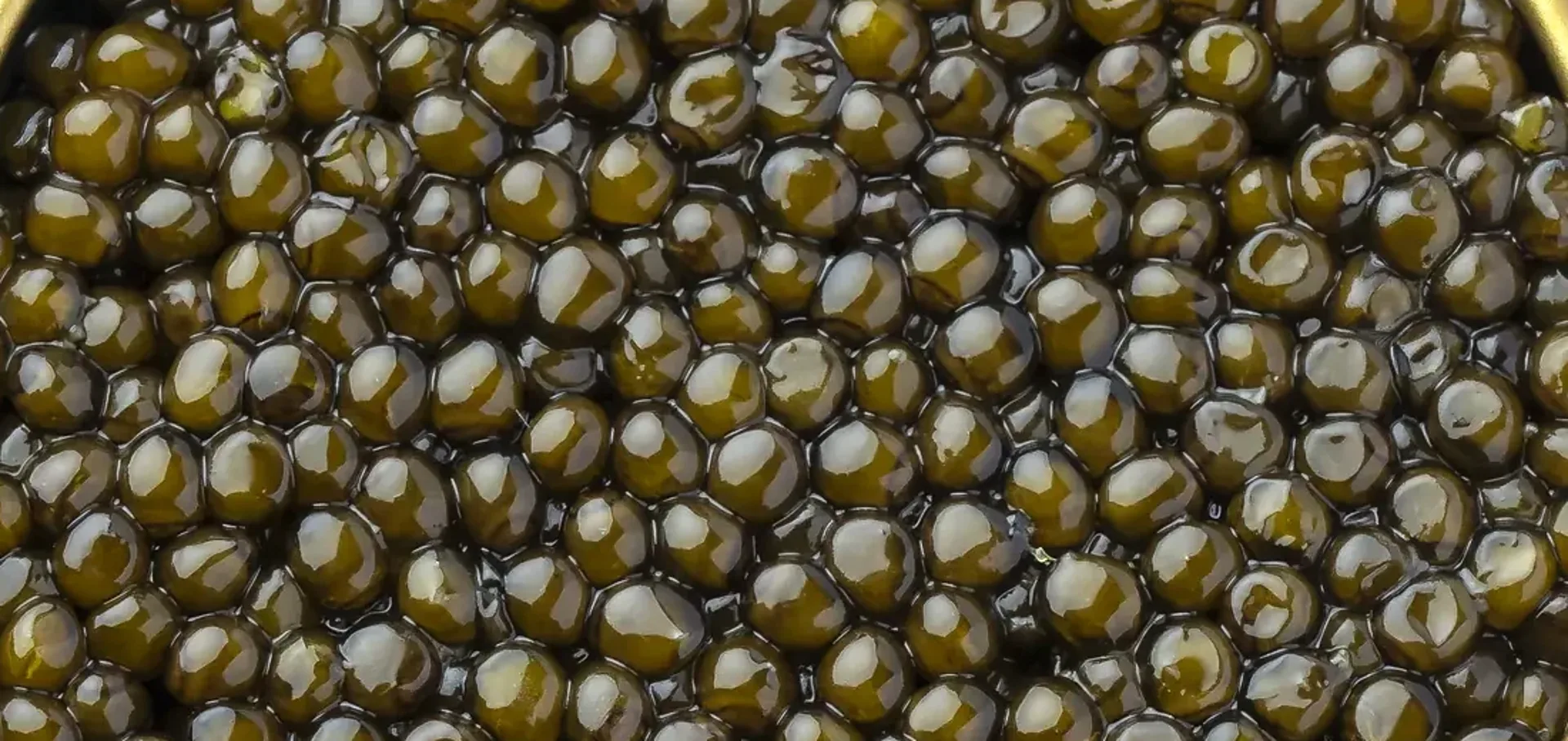 Close-up of Royal Kaluga caviar pearls